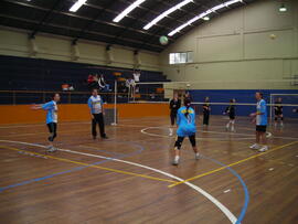 Voleibol