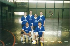 Voleibol
